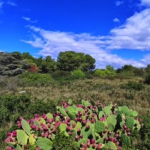 Sète 🌊 (2/3), toujours des paysages sympas, ça valait le coup de faire une formation au bord de la mer 😎